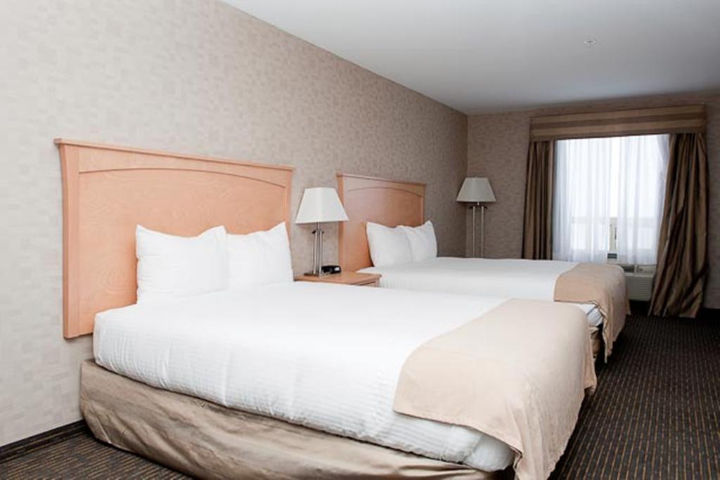 Paradise Inn And Suites 벨리뷰 객실 사진