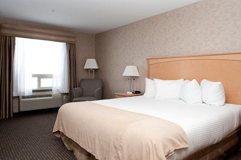 Paradise Inn And Suites 벨리뷰 객실 사진